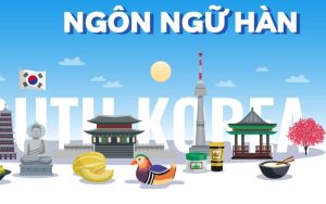 Học trung cấp tiếng hàn