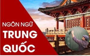 Trung cấp ngôn ngữ trung