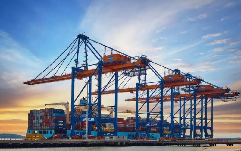 Học lái cẩu cảng